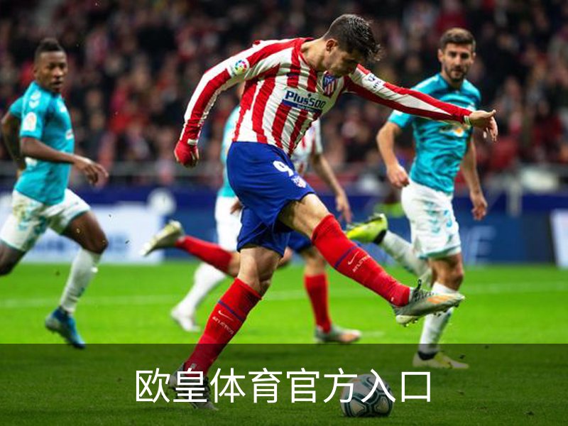 欧皇体育官方入口介绍